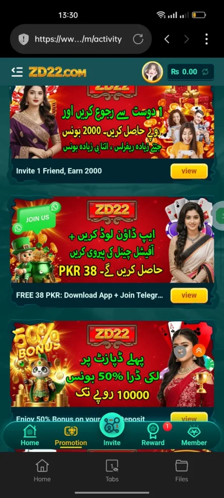 ZD 22 Game