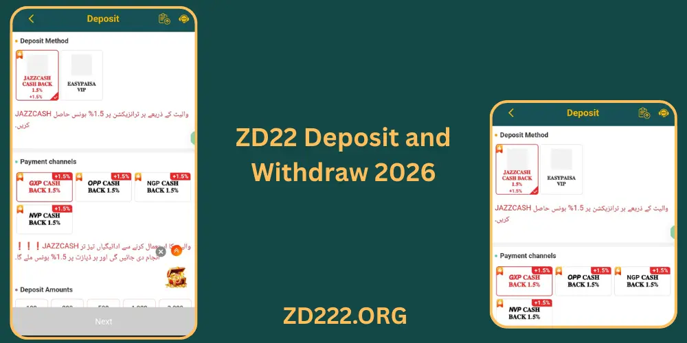 ZD22 Deposit And Withdraw